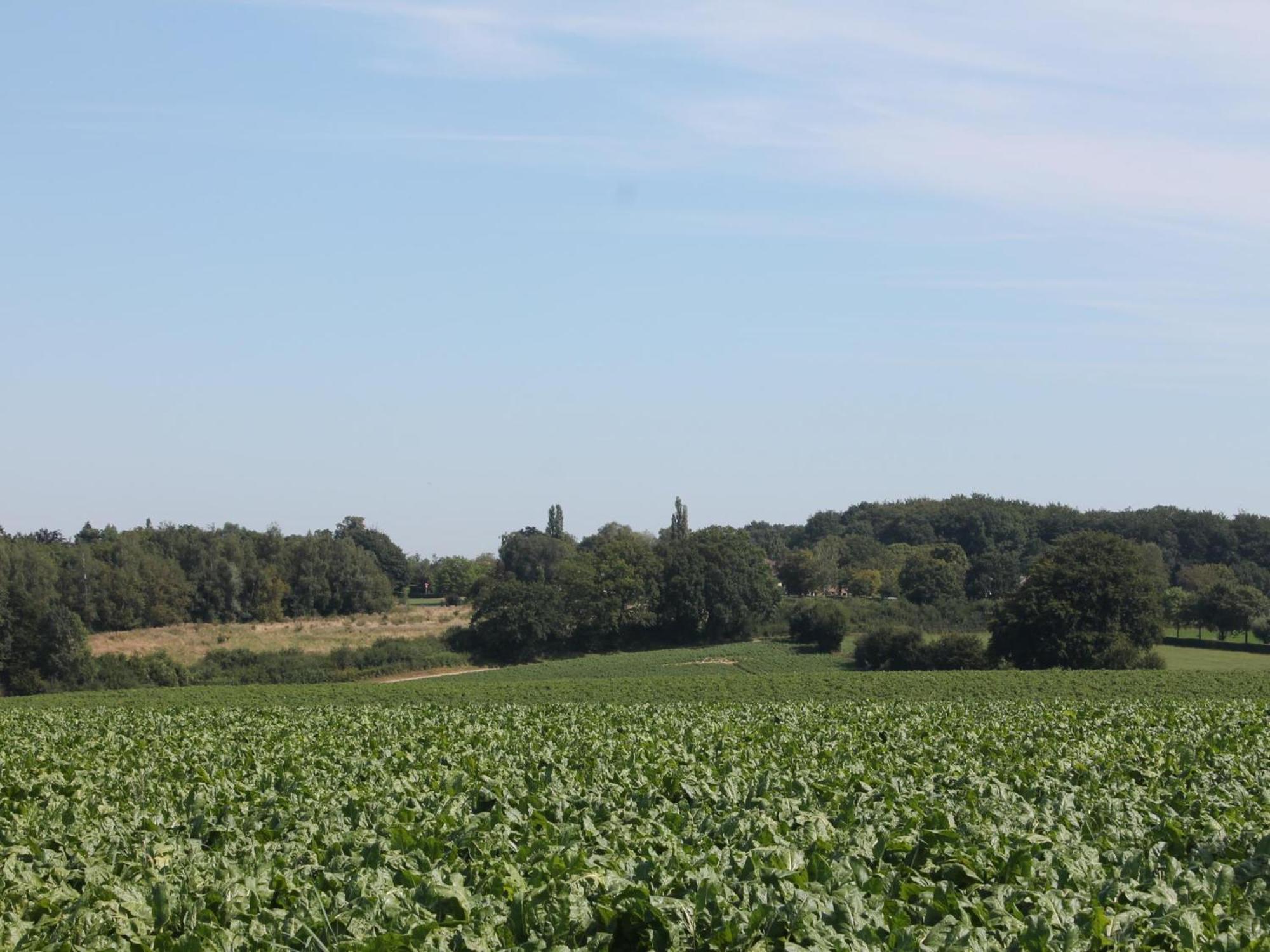 Landsraderhoefke - 4 Heijenrath Zewnętrze zdjęcie