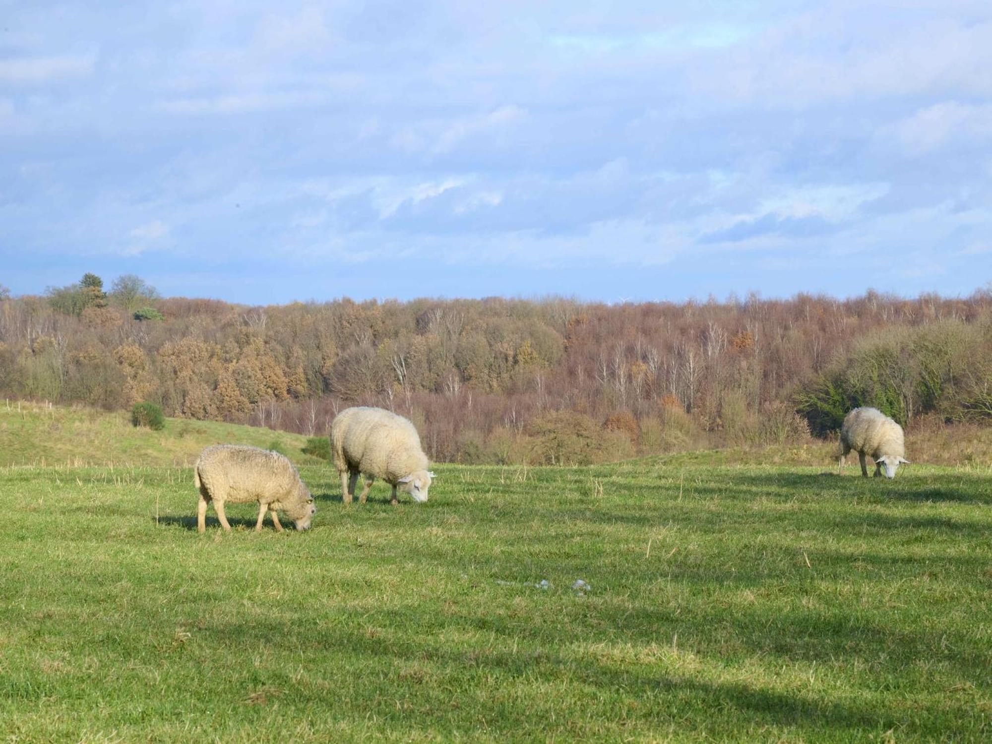 Landsraderhoefke - 4 Heijenrath Zewnętrze zdjęcie